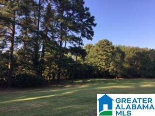 4585 Greathouse Road Dora, AL 35062 - Photo 2 of 15