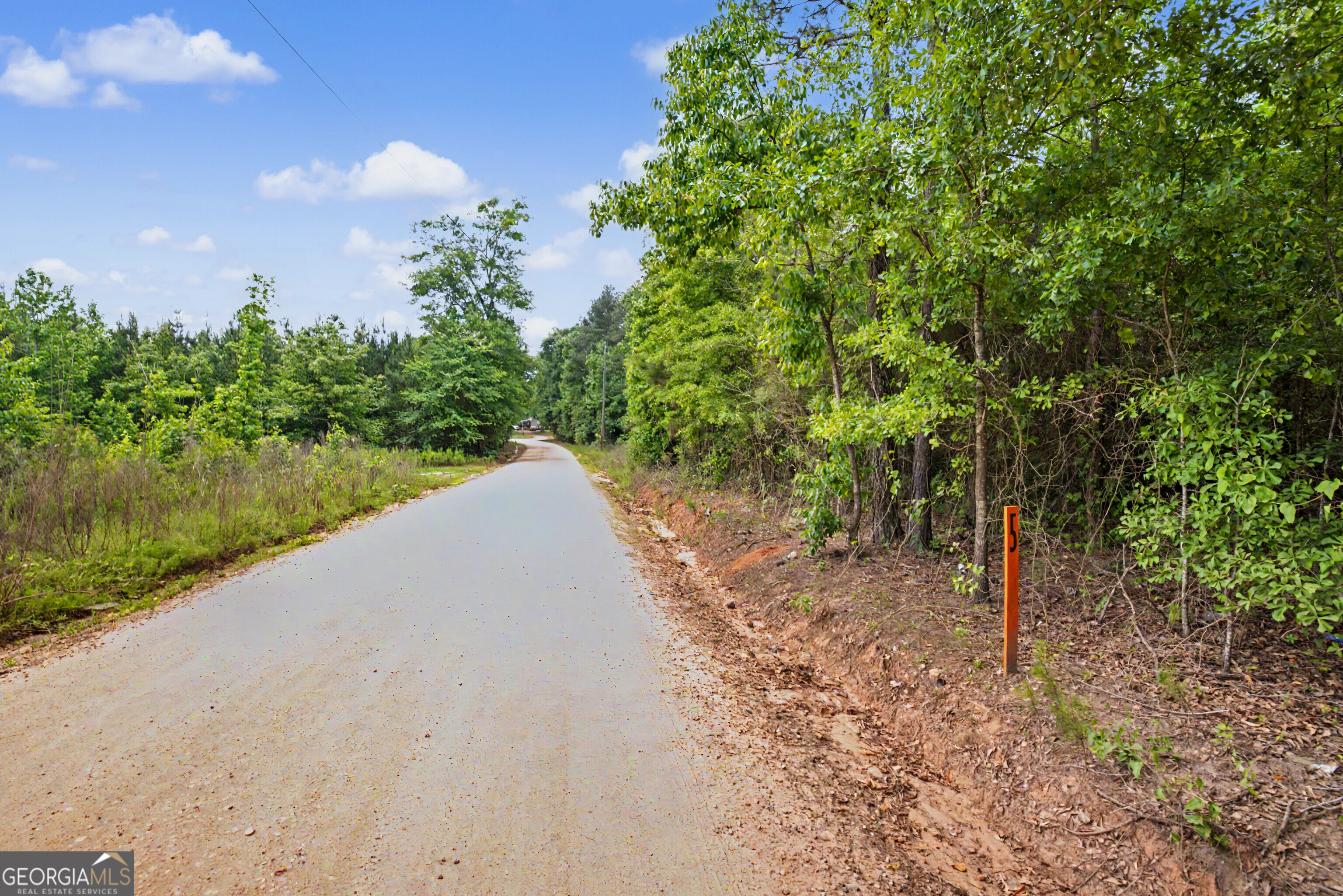 0 Perkins Road Barnesville, GA 30204 - Photo 5 of 13