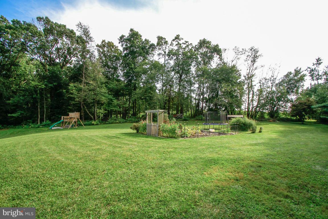 3237 Lineboro Road Manchester, MD 21102 - Photo 5 of 26 a view of a park with large trees