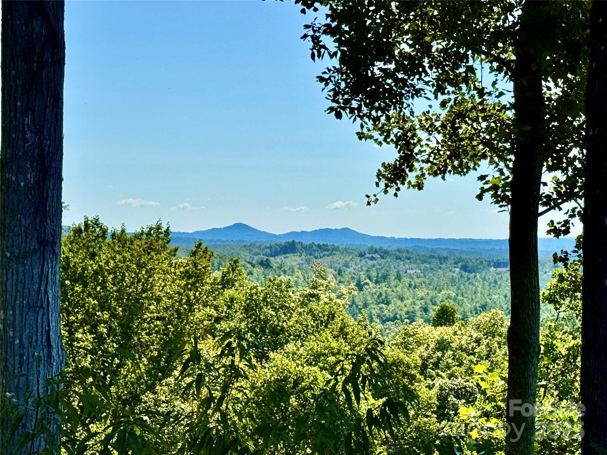 C6 River Club Ridge Lenoir, NC 28645 - Photo 6 of 47