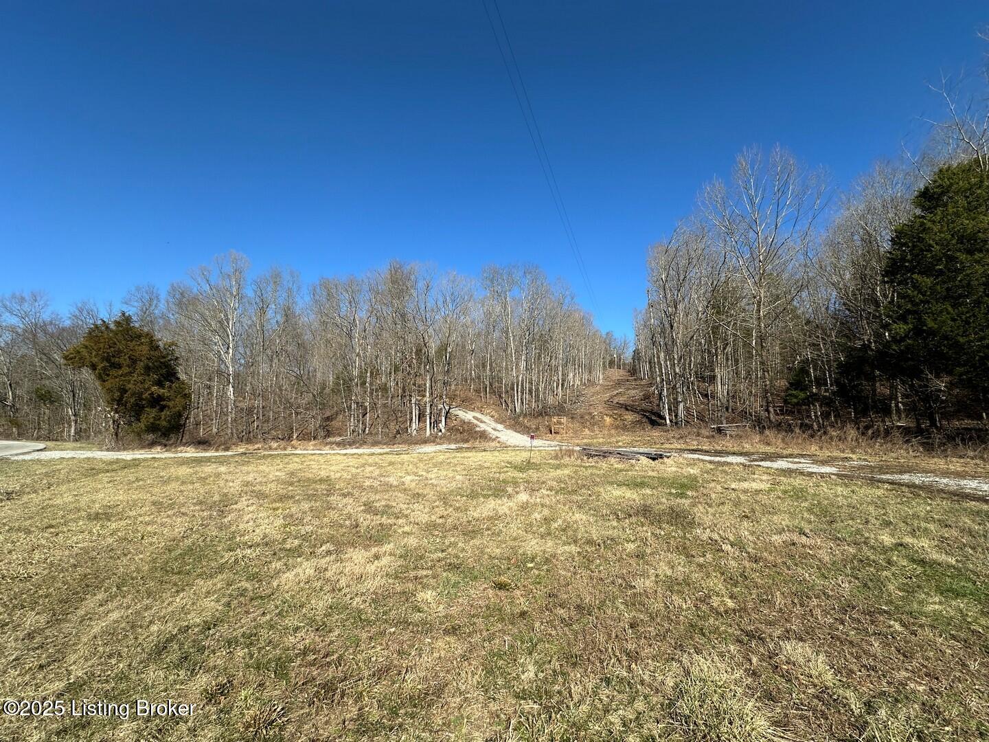 0 Dog Creek Road Caneyville, KY 42721 - Photo 29 of 30 0 Dog Creek Rd23