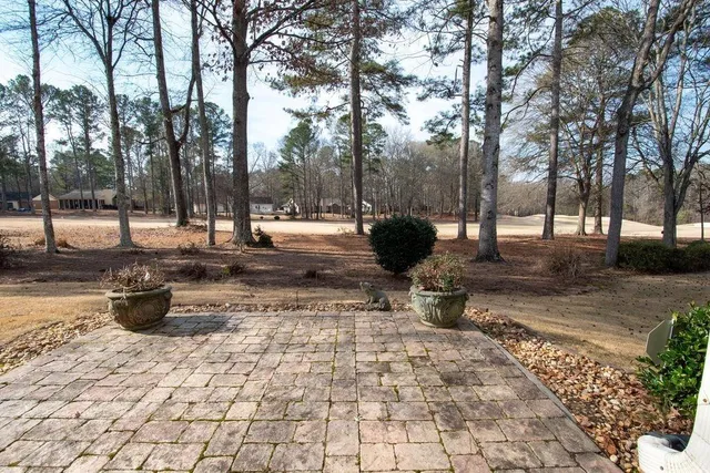 a view of a backyard with fountain