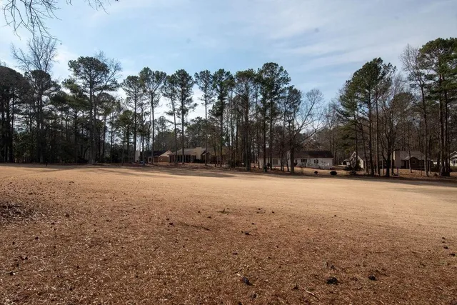 a view of outdoor space yard