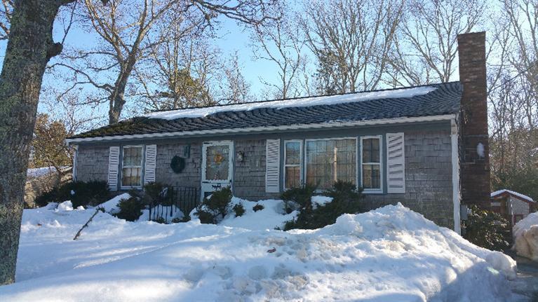 a front view of a house with garden and plants