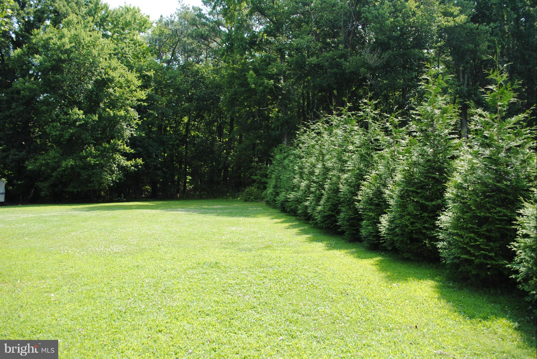 5133 Skinners Neck Road Rock Hall, MD 21661 - Photo 15 of 17 View