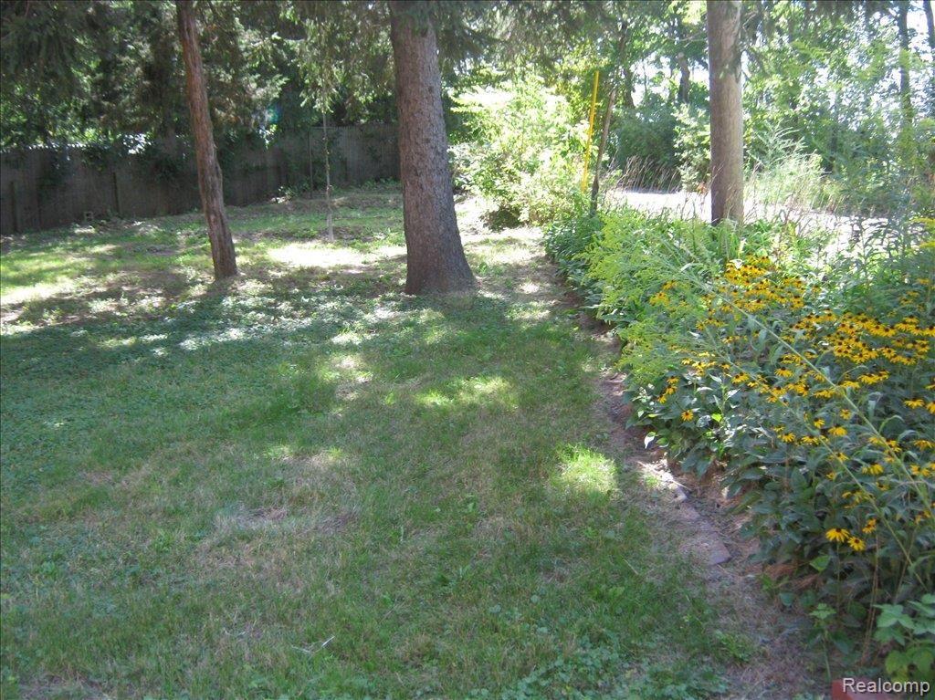 yard