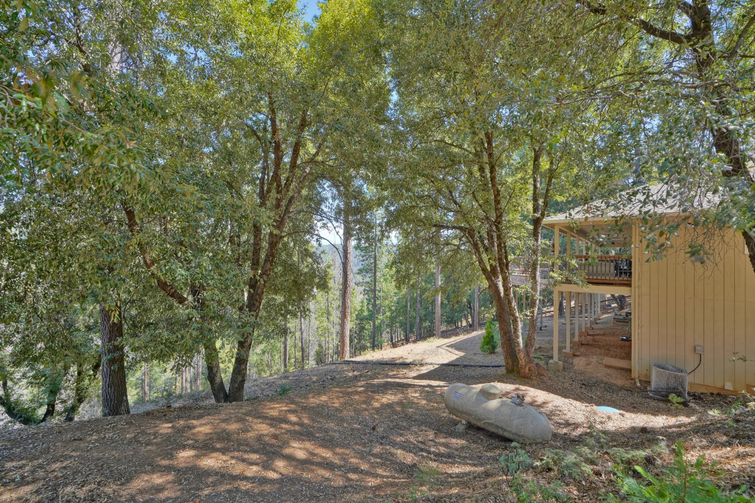 5855 Sly Park Road Pollock Pines, CA 95726 - Photo 47 of 49