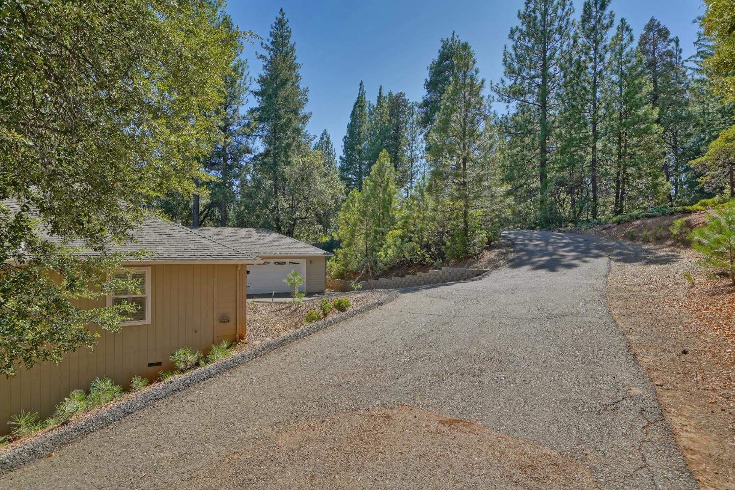 5855 Sly Park Road Pollock Pines, CA 95726 - Photo 6 of 49