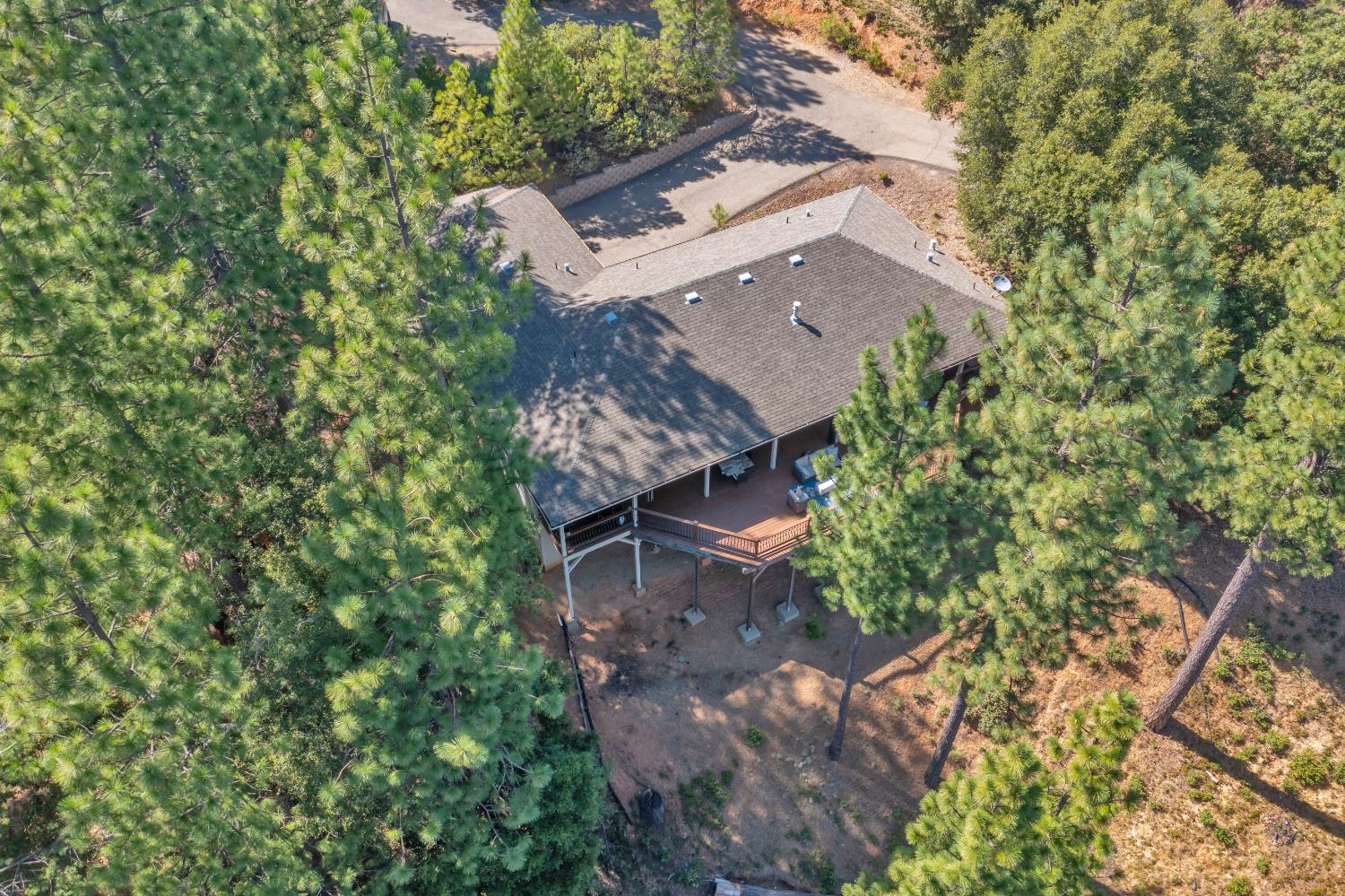 5855 Sly Park Road Pollock Pines, CA 95726 - Photo 7 of 49