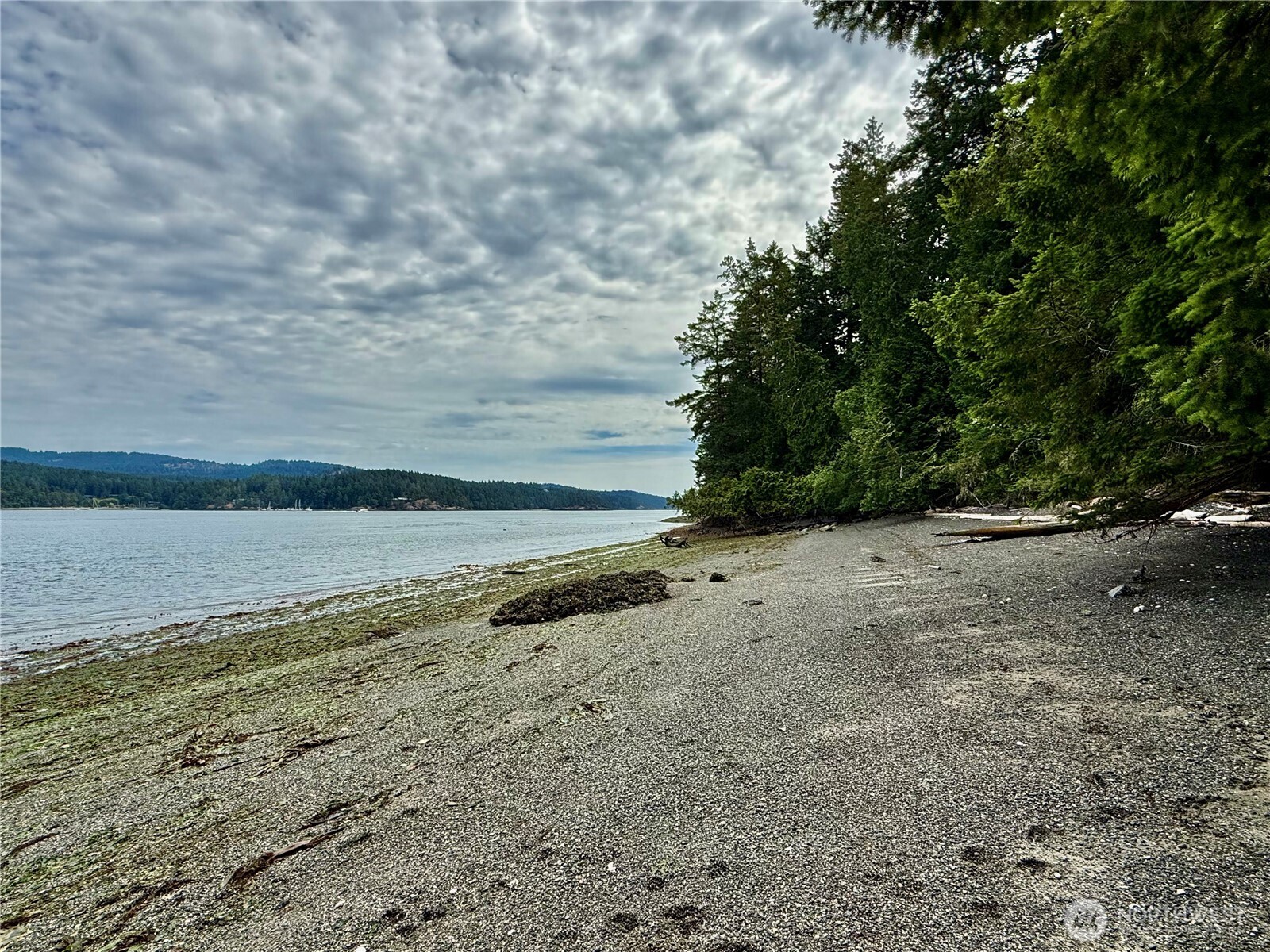 0 Lots 7-8 Newton Beach Road Shaw Island, WA 98286 - Photo 11 of 33