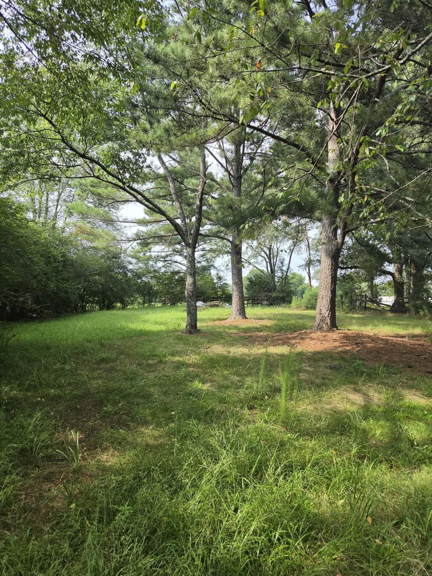 23399 Nick Davis Road Athens, AL 35613 - Photo 43 of 48 Gallery Image 43