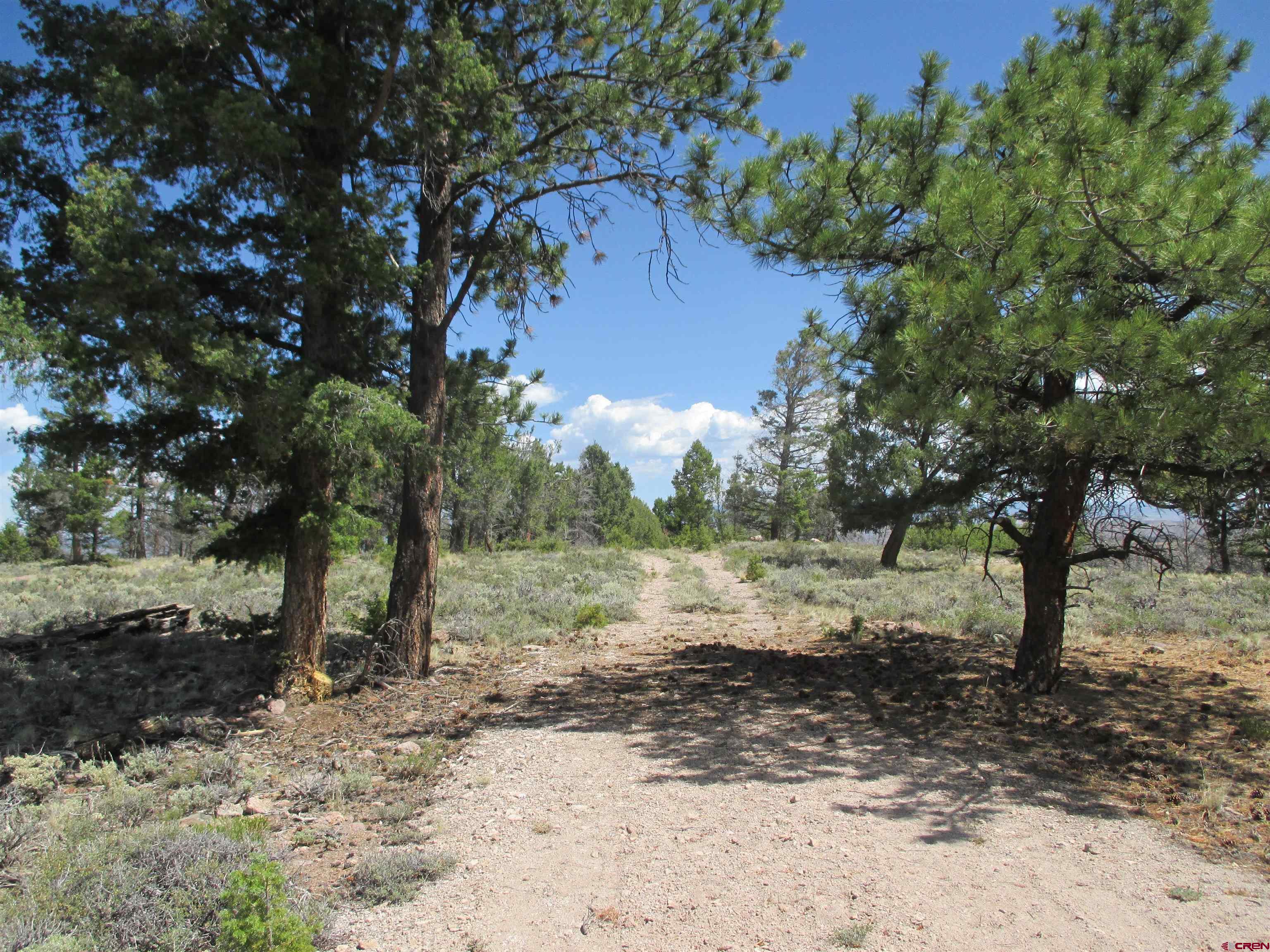 809 Schofield Trail Powderhorn, CO 81243 - Photo 4 of 41 809 Schofield Trail in the Blue Mesa Subdivision Unit 2 comprising 4.30+/- acres.