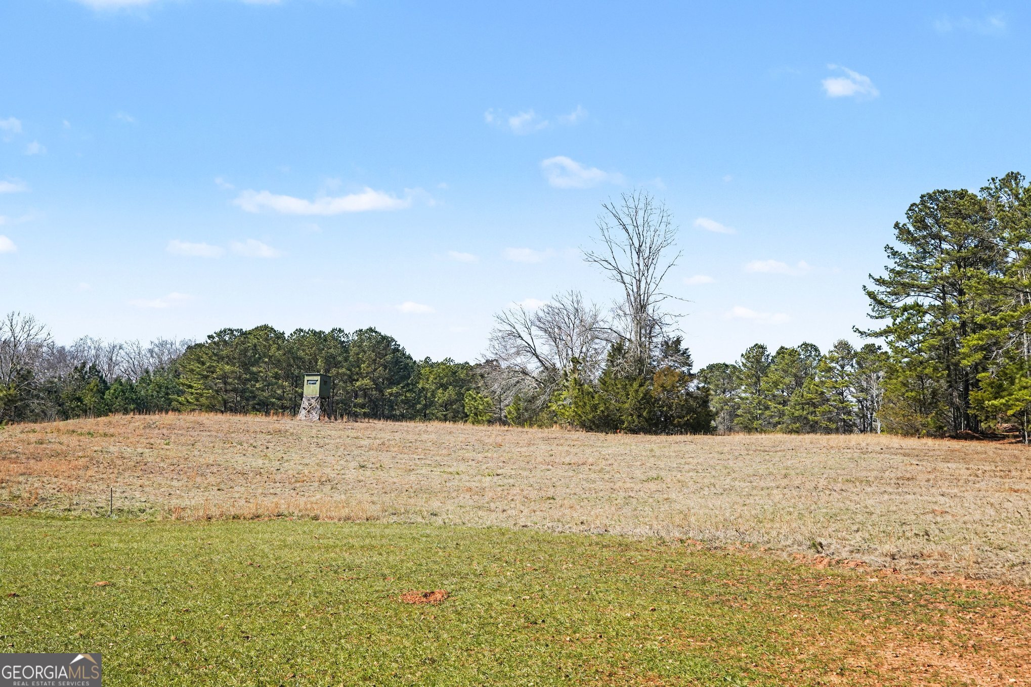 0 Vineyard Road Thomaston, GA 30286 - Photo 13 of 40