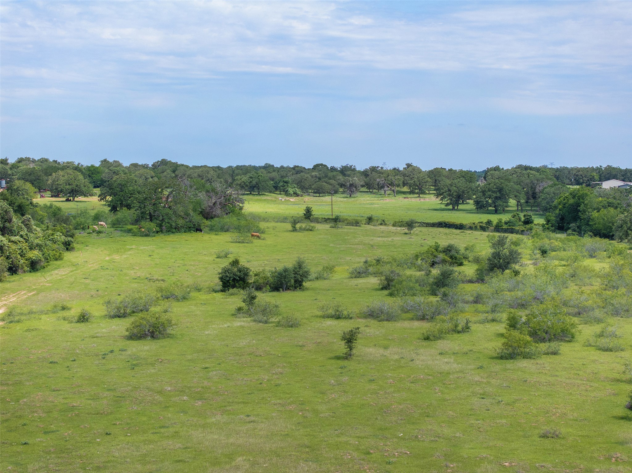 459 County Road 459 Road Thorndale, TX 76577 - Photo 33 of 35 a view of a field with an ocean