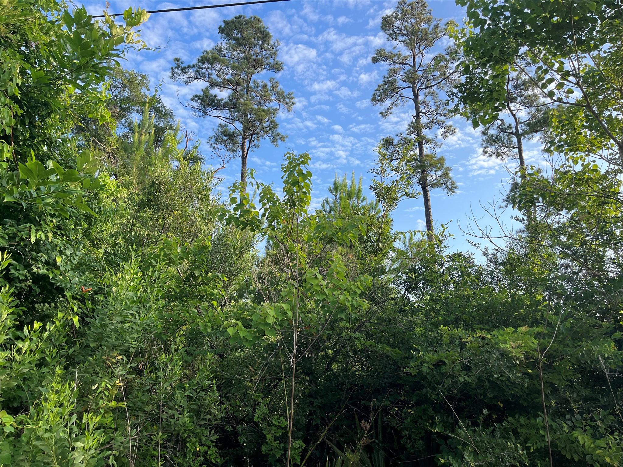 0 Garrett Road Houston, TX 77044 - Photo 5 of 7