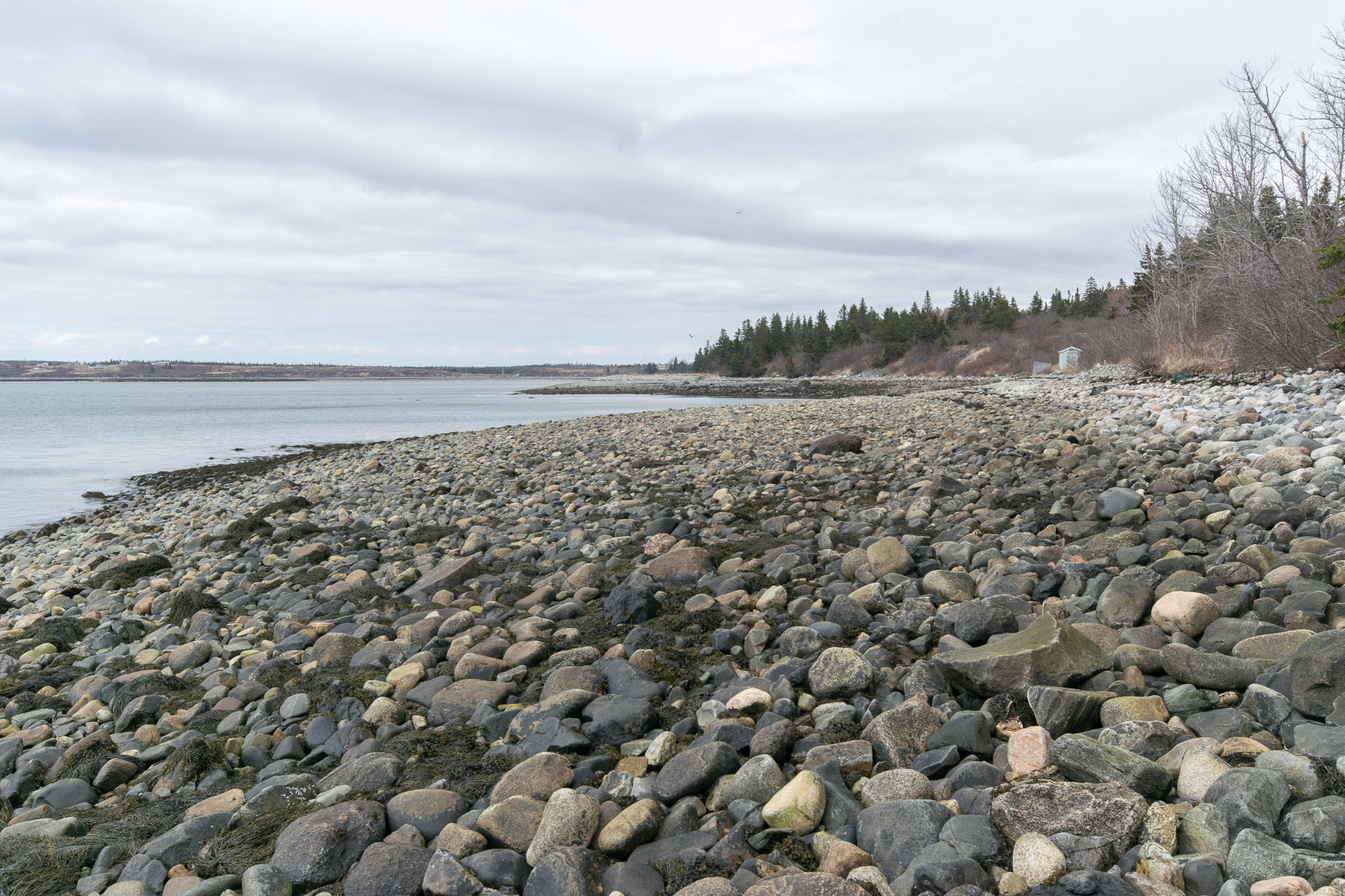 185 Little Machias Road Cutler, ME 04626 - Photo 19 of 19 DSC_0093-2