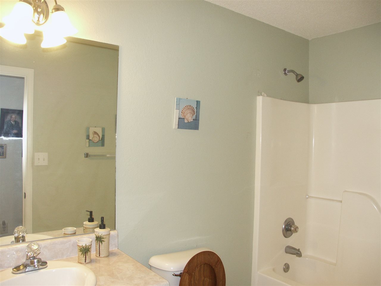 16305 Mansion Street Foley, AL 36535 - Photo 11 of 15 Guest Bathroom