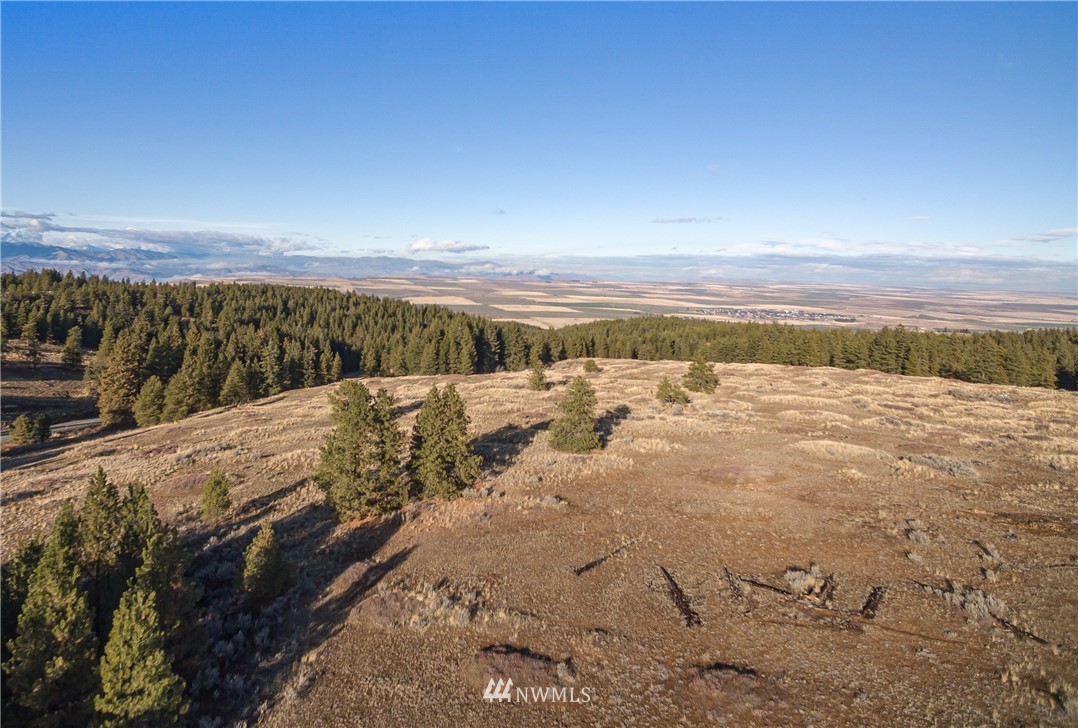0 Badger Mountain Road Waterville, WA 98858 - Photo 1 of 7 Gallery Image 1