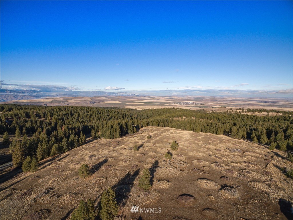 0 Badger Mountain Road Waterville, WA 98858 - Photo 2 of 7 Gallery Image 2