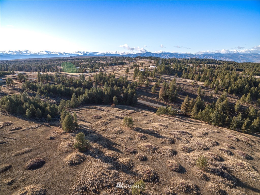0 Badger Mountain Road Waterville, WA 98858 - Photo 3 of 7 Gallery Image 3