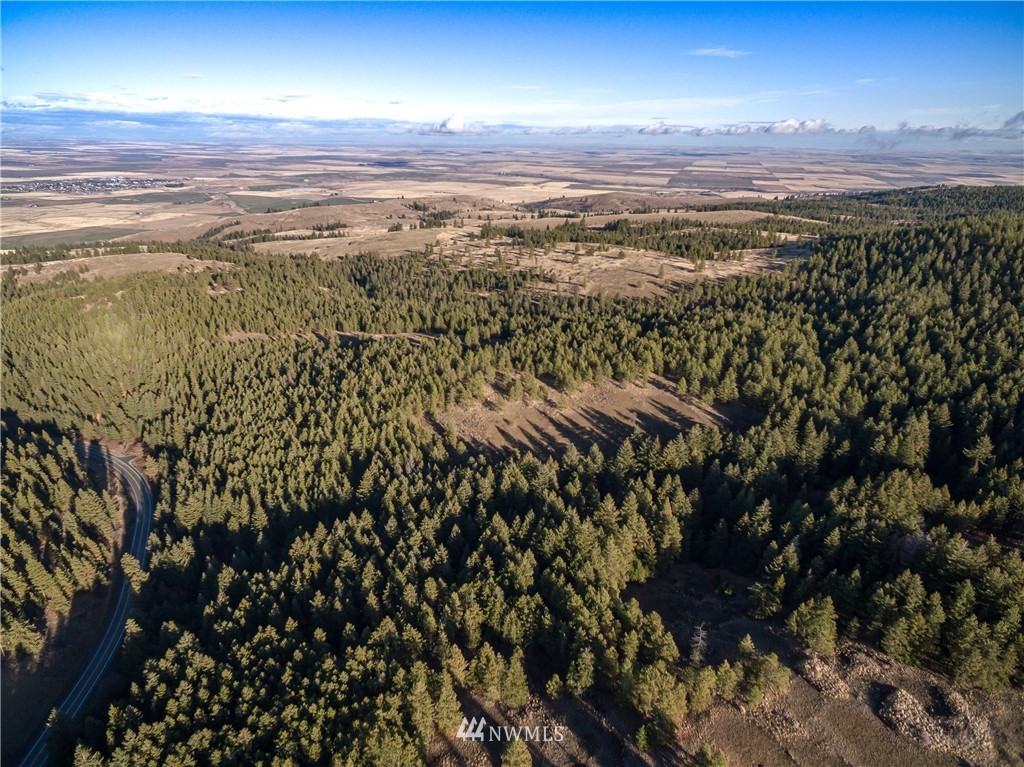 0 Badger Mountain Road Waterville, WA 98858 - Photo 5 of 7 Gallery Image 5
