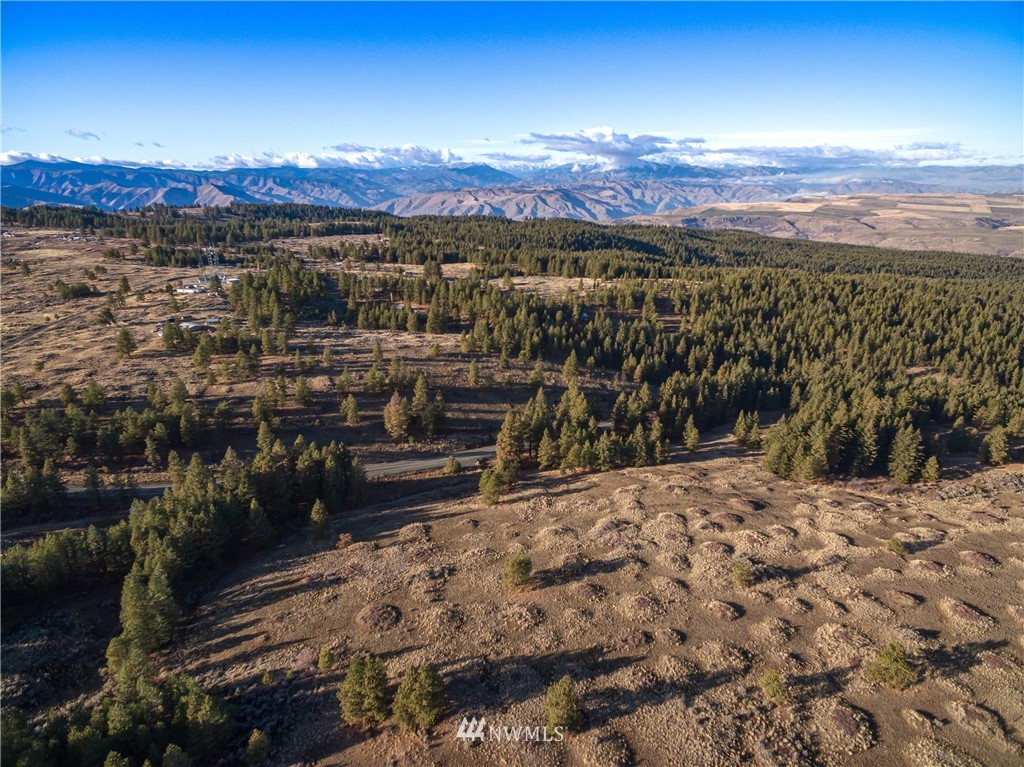 0 Badger Mountain Road Waterville, WA 98858 - Photo 6 of 7 Gallery Image 6