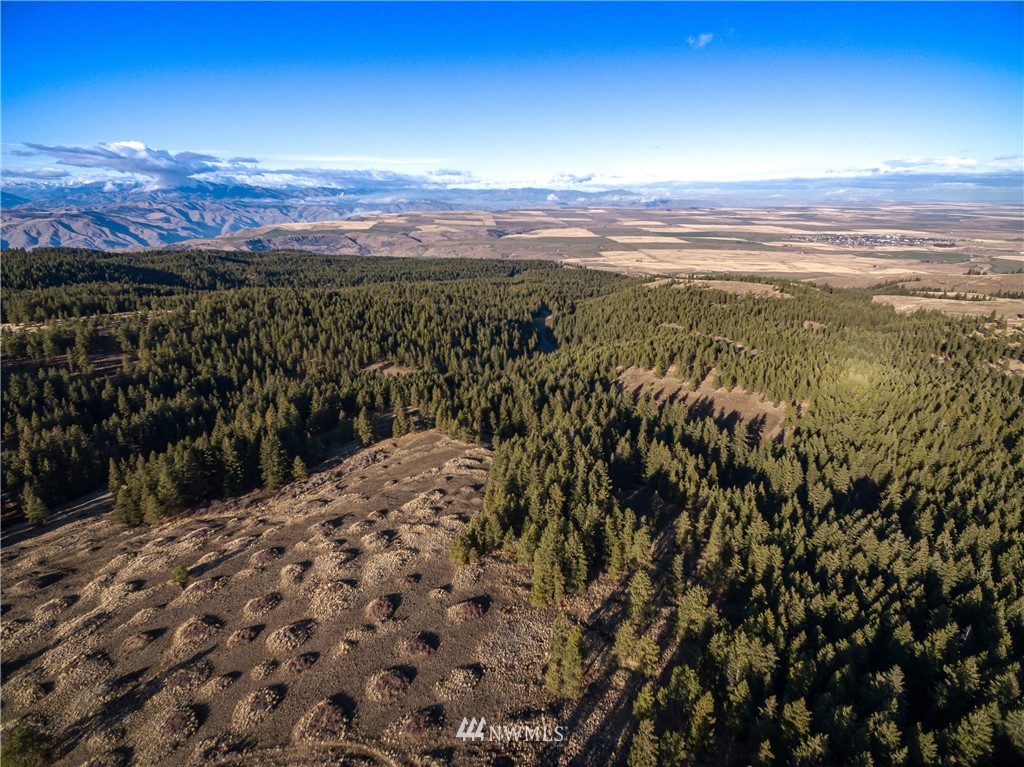 0 Badger Mountain Road Waterville, WA 98858 - Photo 7 of 7 Gallery Image 7