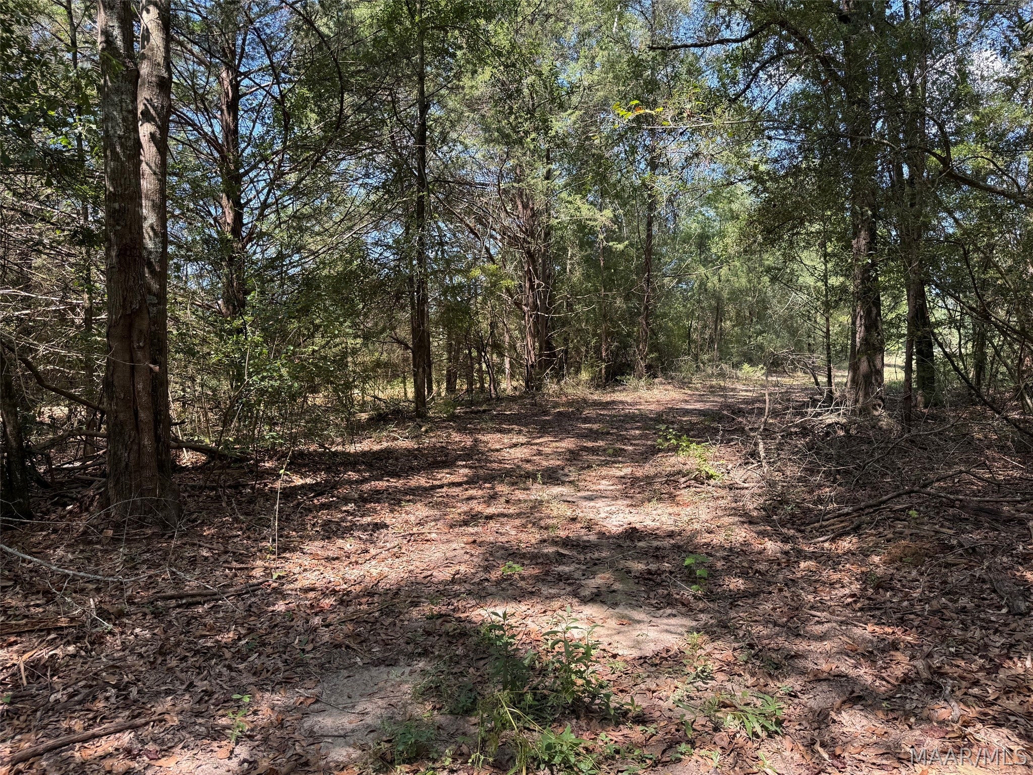 0 County Road 79 Road Billingsley, AL 36006 - Photo 10 of 14 Gallery Image 10