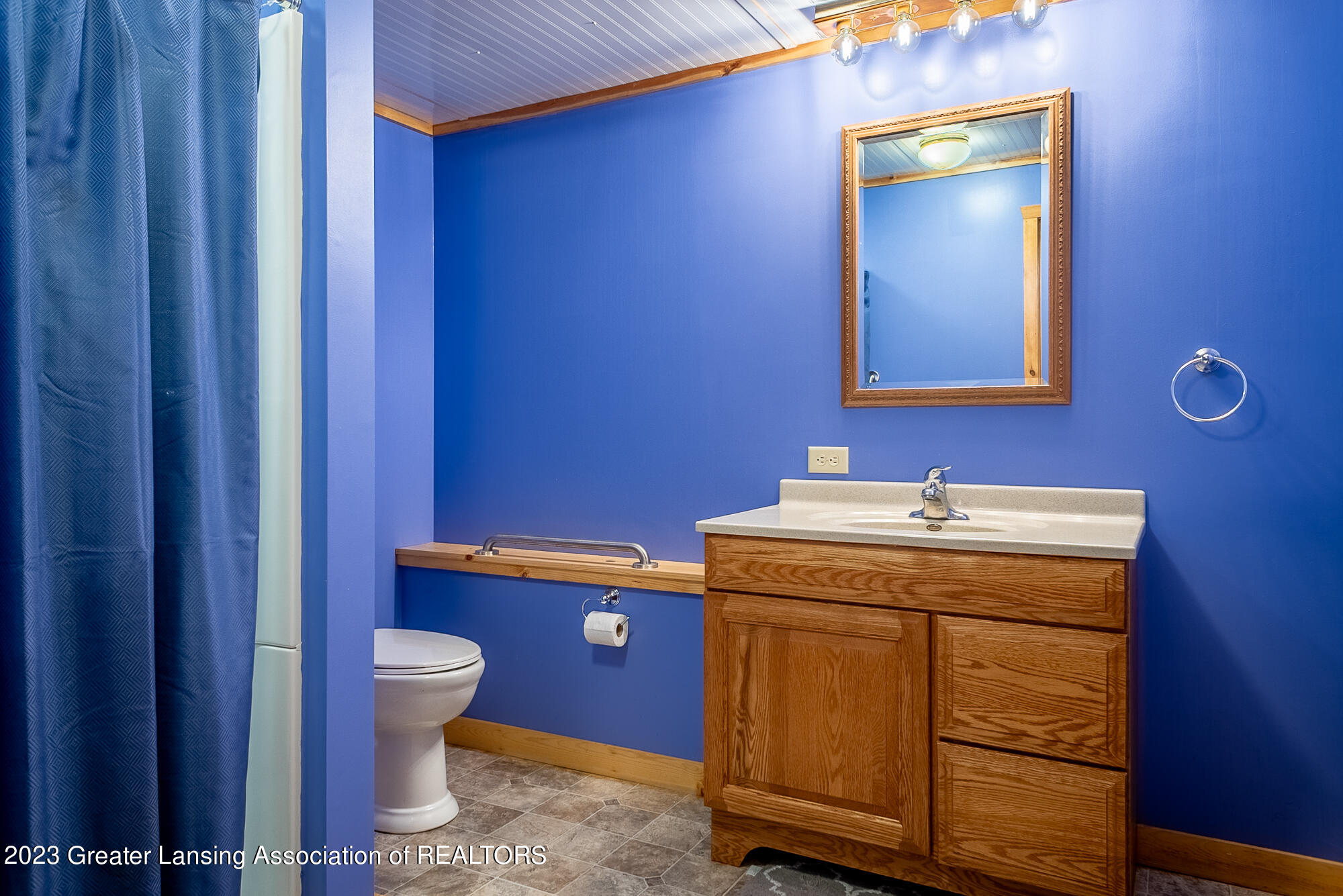 5347 North Shepardsville Road Elsie, MI 48831 - Photo 63 of 65 5347 N Shepardsville Rd Elsie MI-162