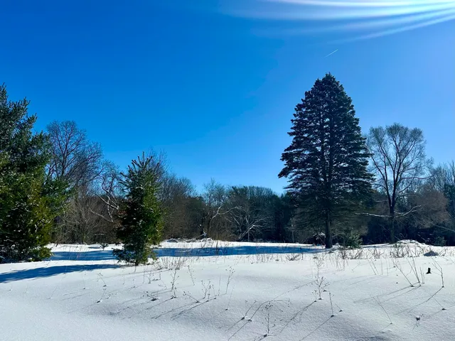 $150,000 | 3505 65th Street, Saugatuck, MI 49453