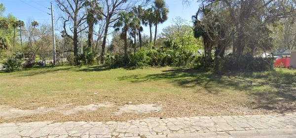 a view of a yard with a tree