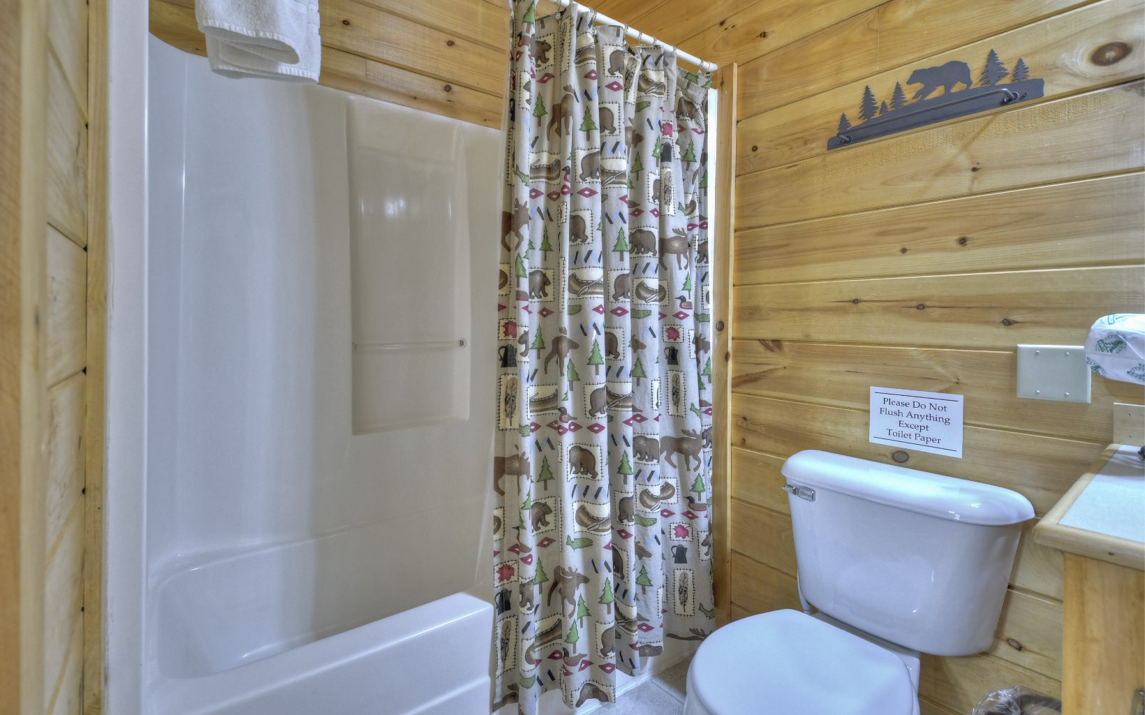 315 Ridgecrest Drive Blue Ridge, GA 30513 - Photo 21 of 42 Additional View