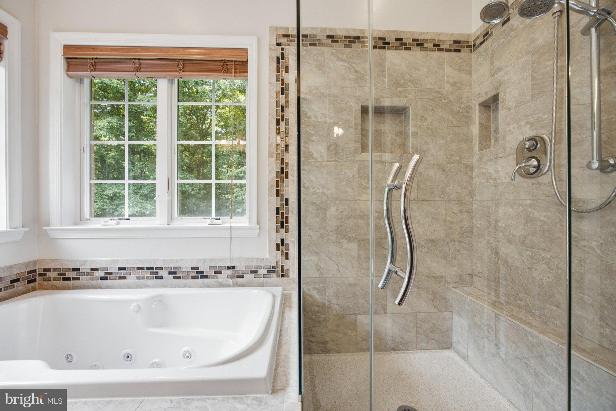 3723 Bay Road Street, MD 21154 - Photo 29 of 57 Custom shower glass Terrazo base, dual showerheads
