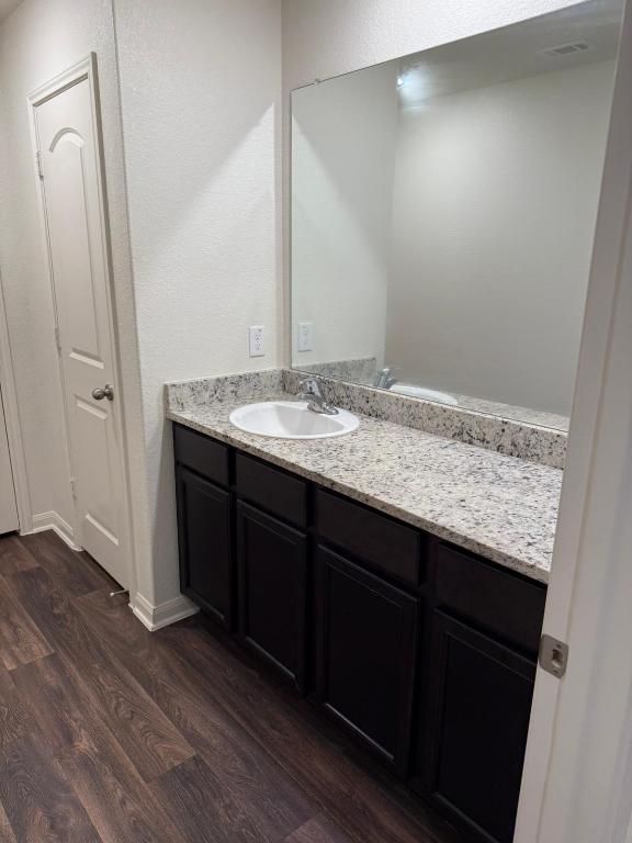 14325 Boomtown Way Elgin, TX 78621 - Photo 17 of 29 a bathroom with a granite countertop sink and a mirror