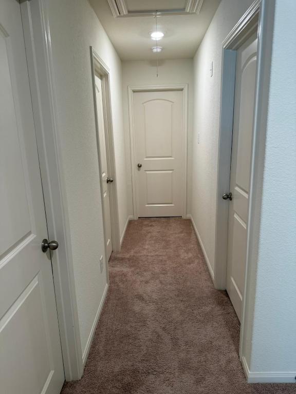 14325 Boomtown Way Elgin, TX 78621 - Photo 9 of 29