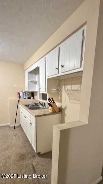 583 Watson School Road Leitchfield, KY 42754 - Photo 23 of 23 IMG_2553