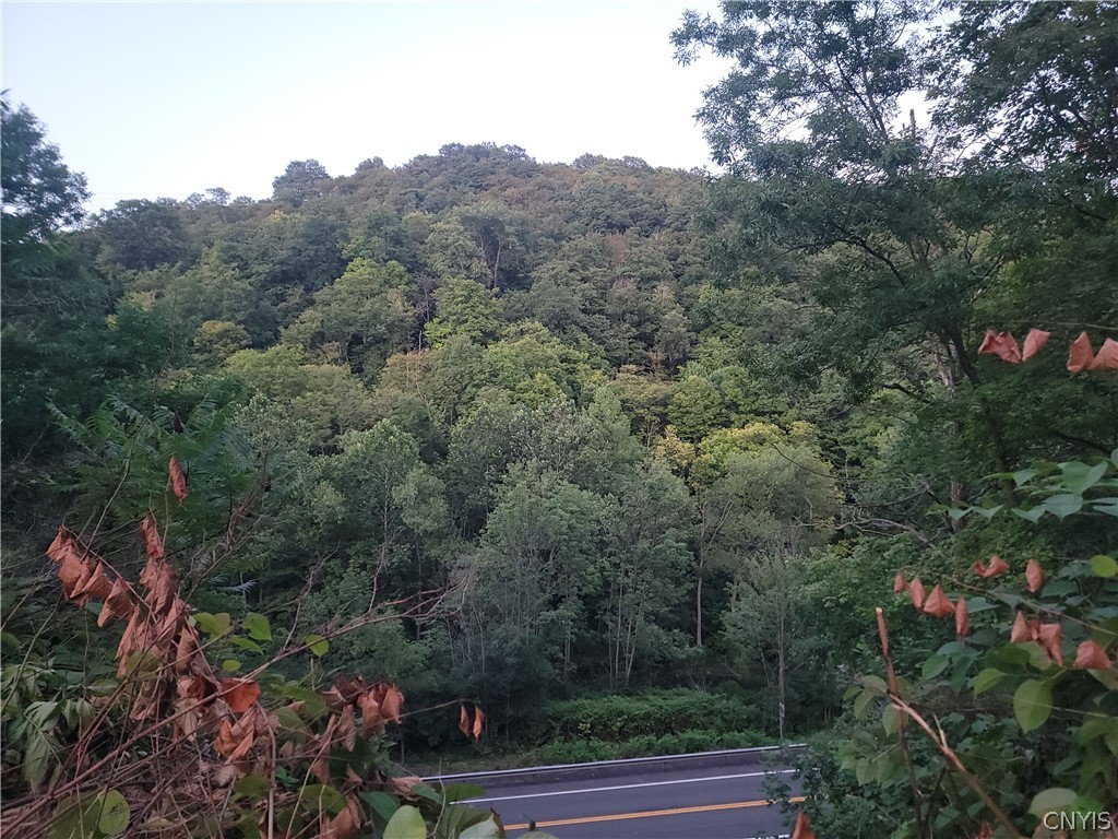 4906 Lawless Road Marcellus, NY 13108 - Photo 10 of 47 valley view from pool and patio