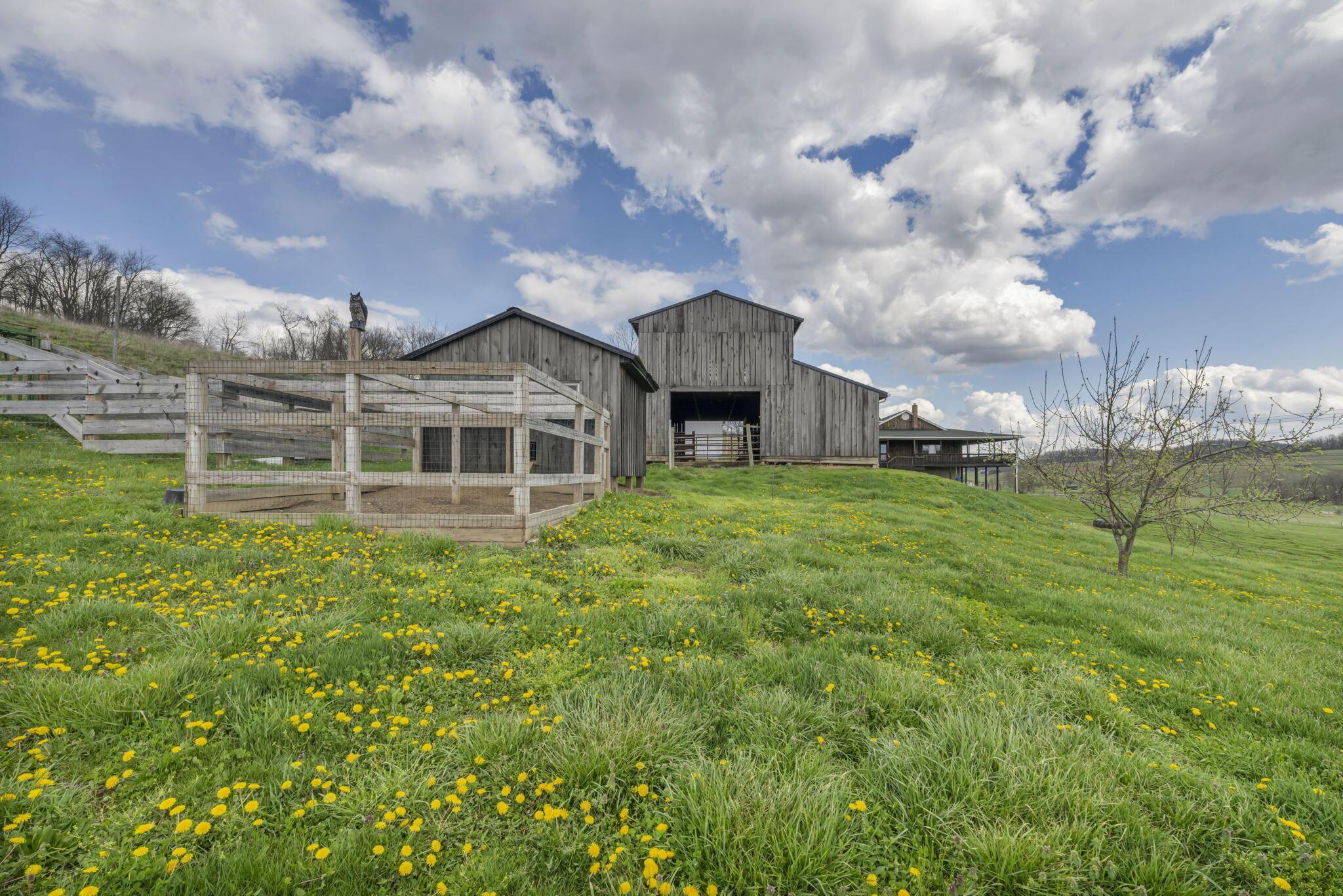 18513 Hobbler Road Kimbolton, OH 43749 - Photo 42 of 51 76-web-or-mls-Hobbler Rd_73