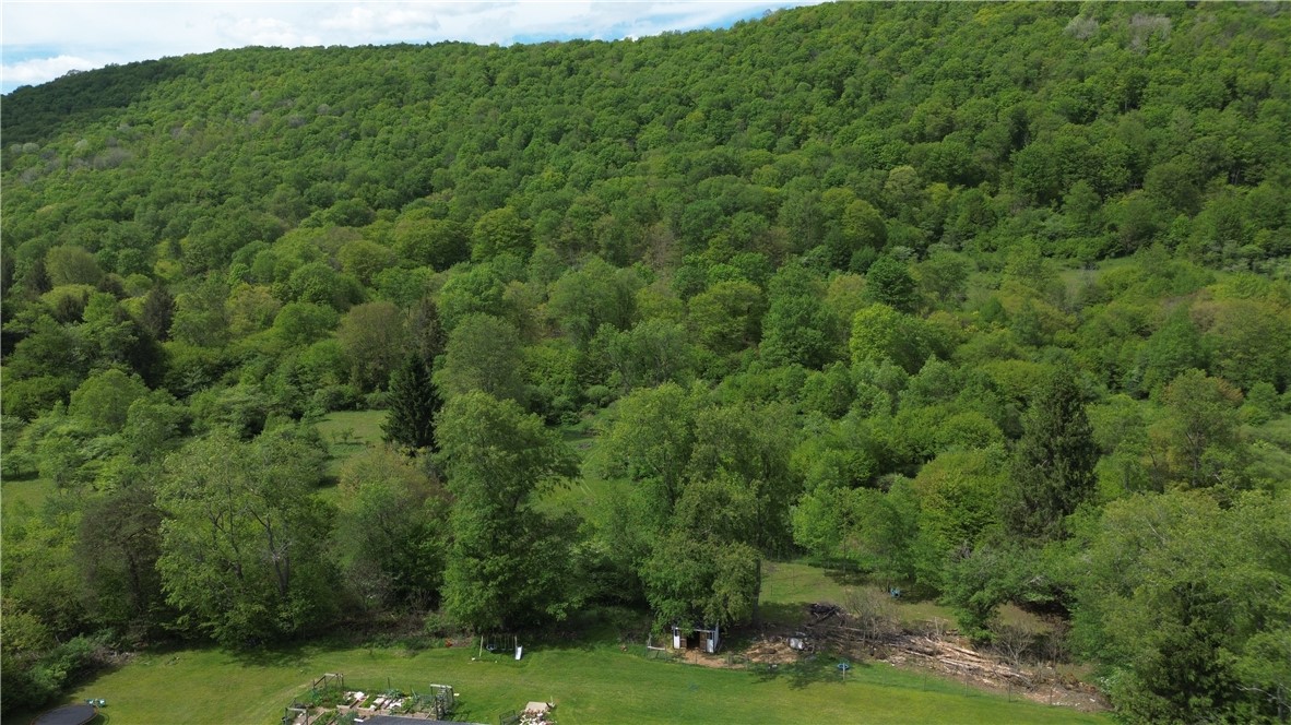 374 Brewer Run Road Smethport, PA 16749 - Photo 9 of 40
