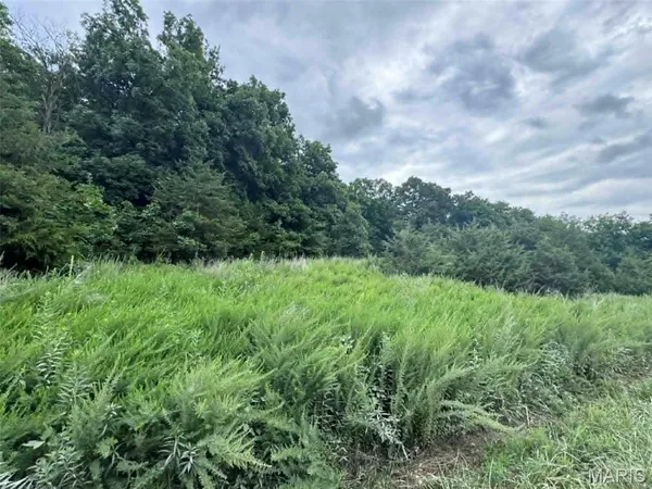 $139,900 | 0 Walnut Street Place, New London, MO 63459