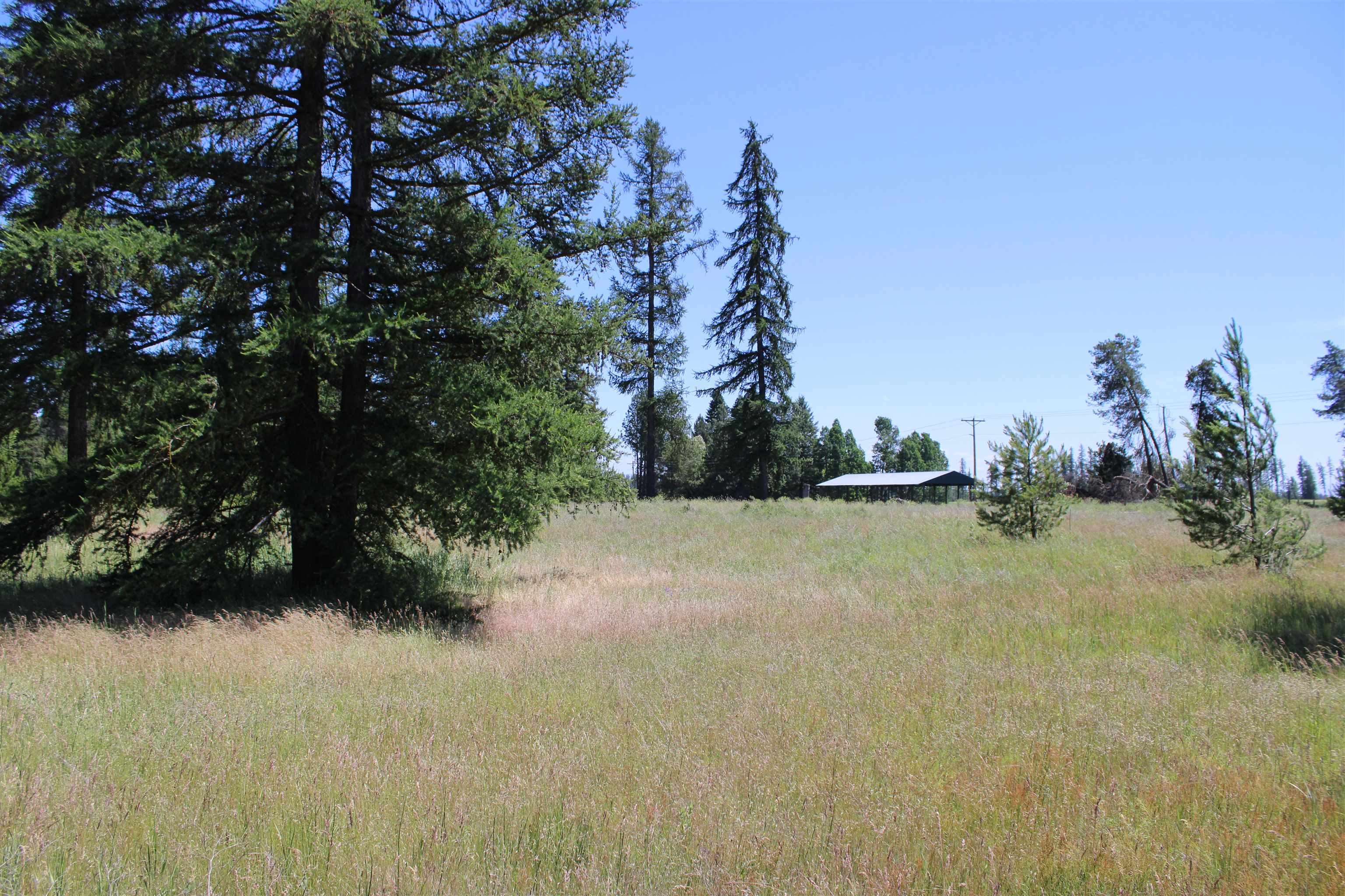 Gibson-dahl West Rd Clayton Wa 99110 Road Clayton, WA 99110 - Photo 2 of 13