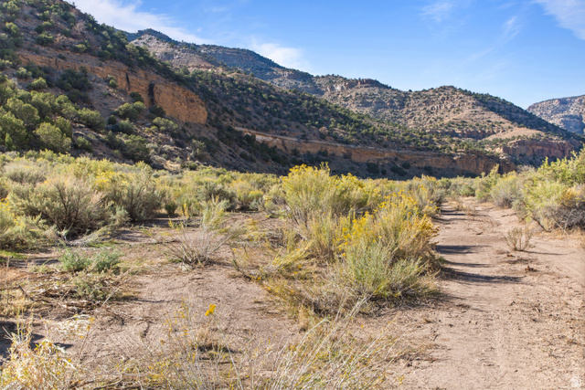 3135 North Thompson Cyn Road Green River, UT 84525 - Photo 26 of 41 Mountain view