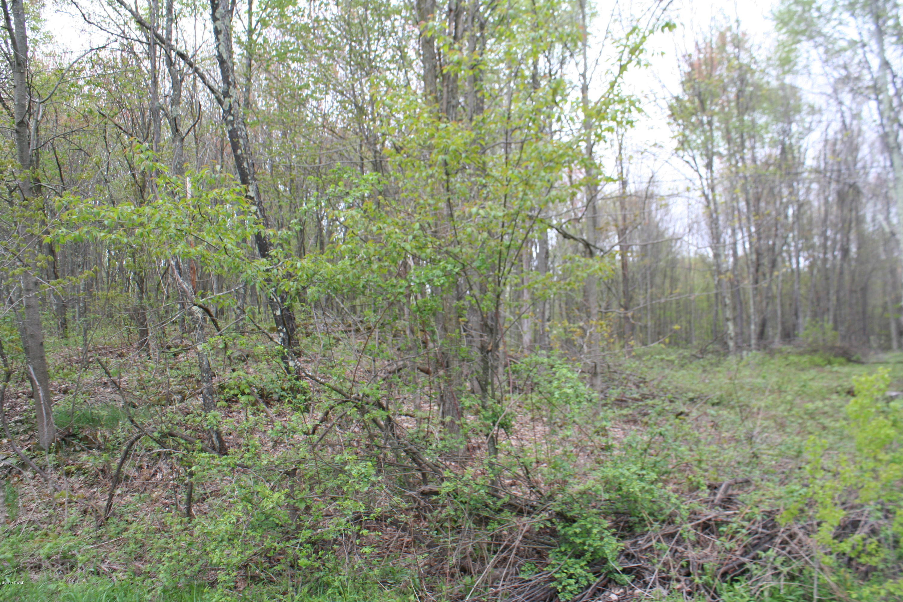 255 North Smith Road Waymart, PA 18472 - Photo 8 of 8