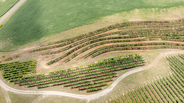 $810,000 | 1980 Angling Road, Coloma, MI 49038