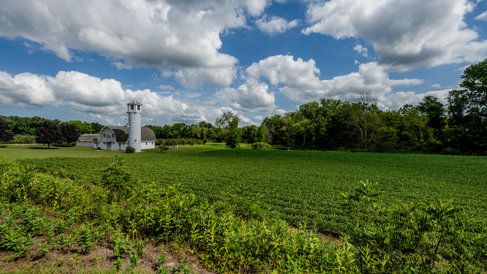 1980 Angling Road Coloma, MI 49038 - Photo 17 of 49 Angling-186