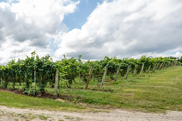 $810,000 | 1980 Angling Road, Coloma, MI 49038