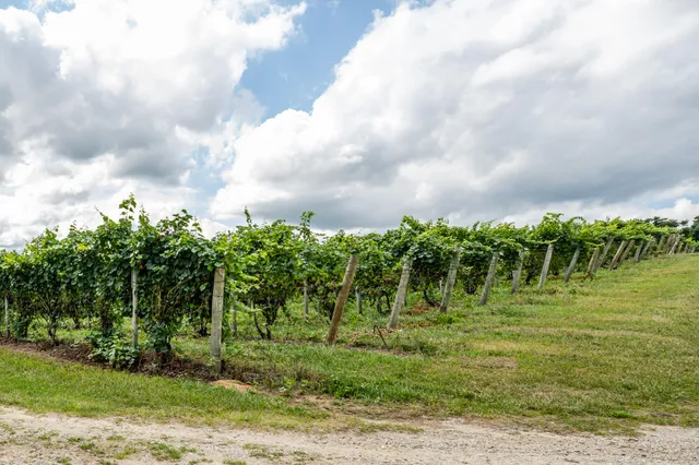 $810,000 | 1980 Angling Road, Coloma, MI 49038