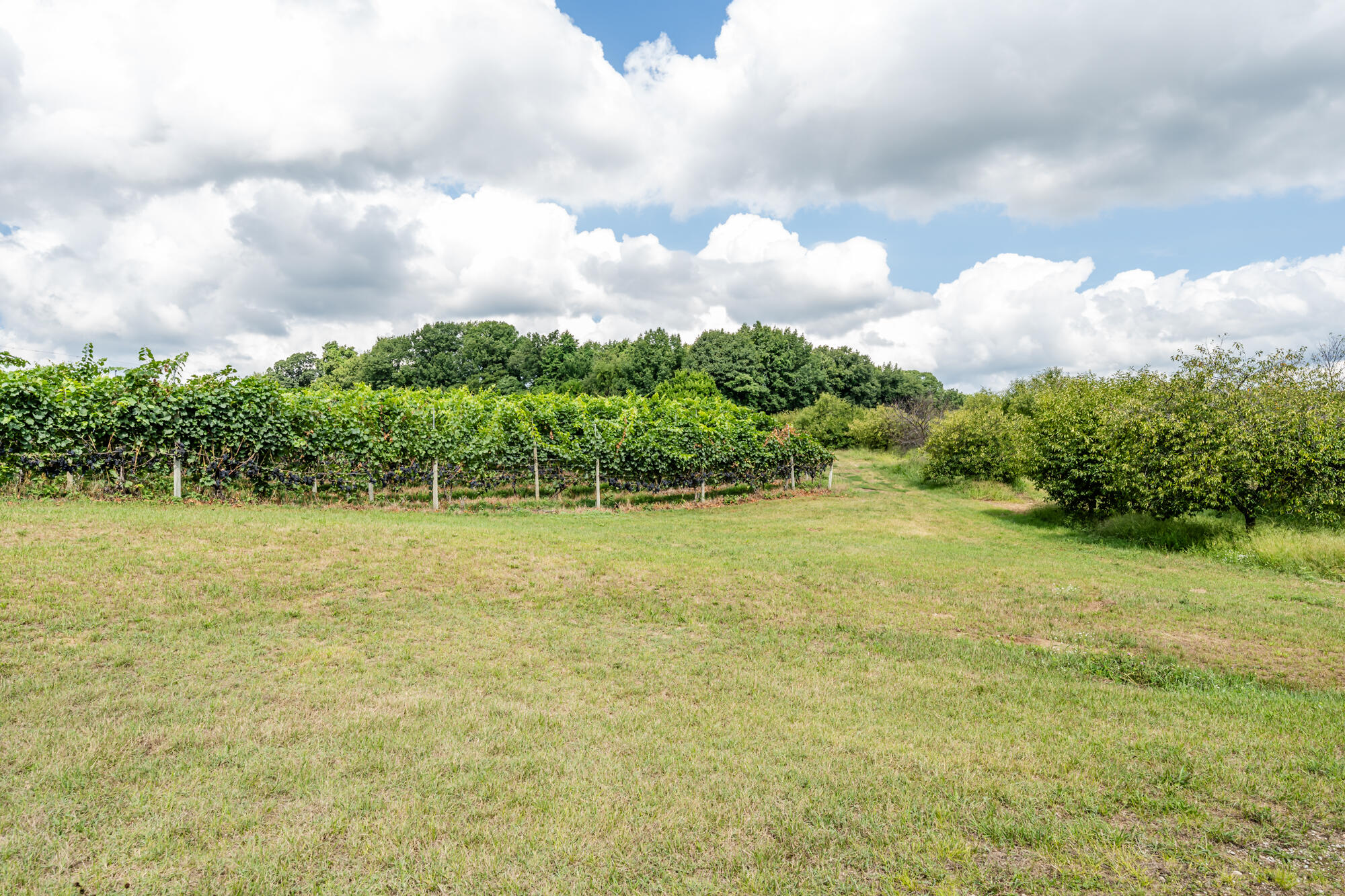 1980 Angling Road Coloma, MI 49038 - Photo 45 of 49 Angling-156