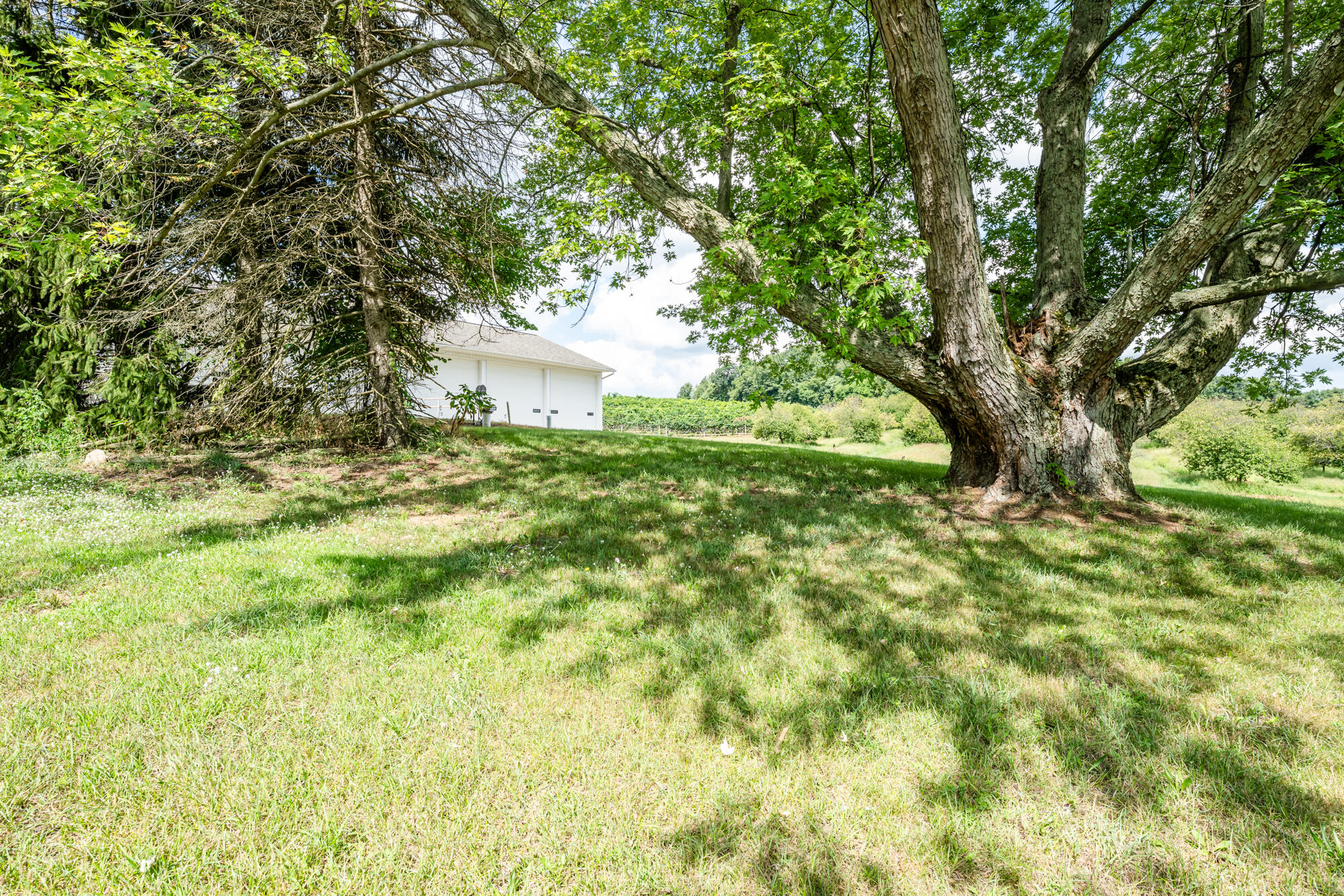 1980 Angling Road Coloma, MI 49038 - Photo 47 of 49 Angling-154