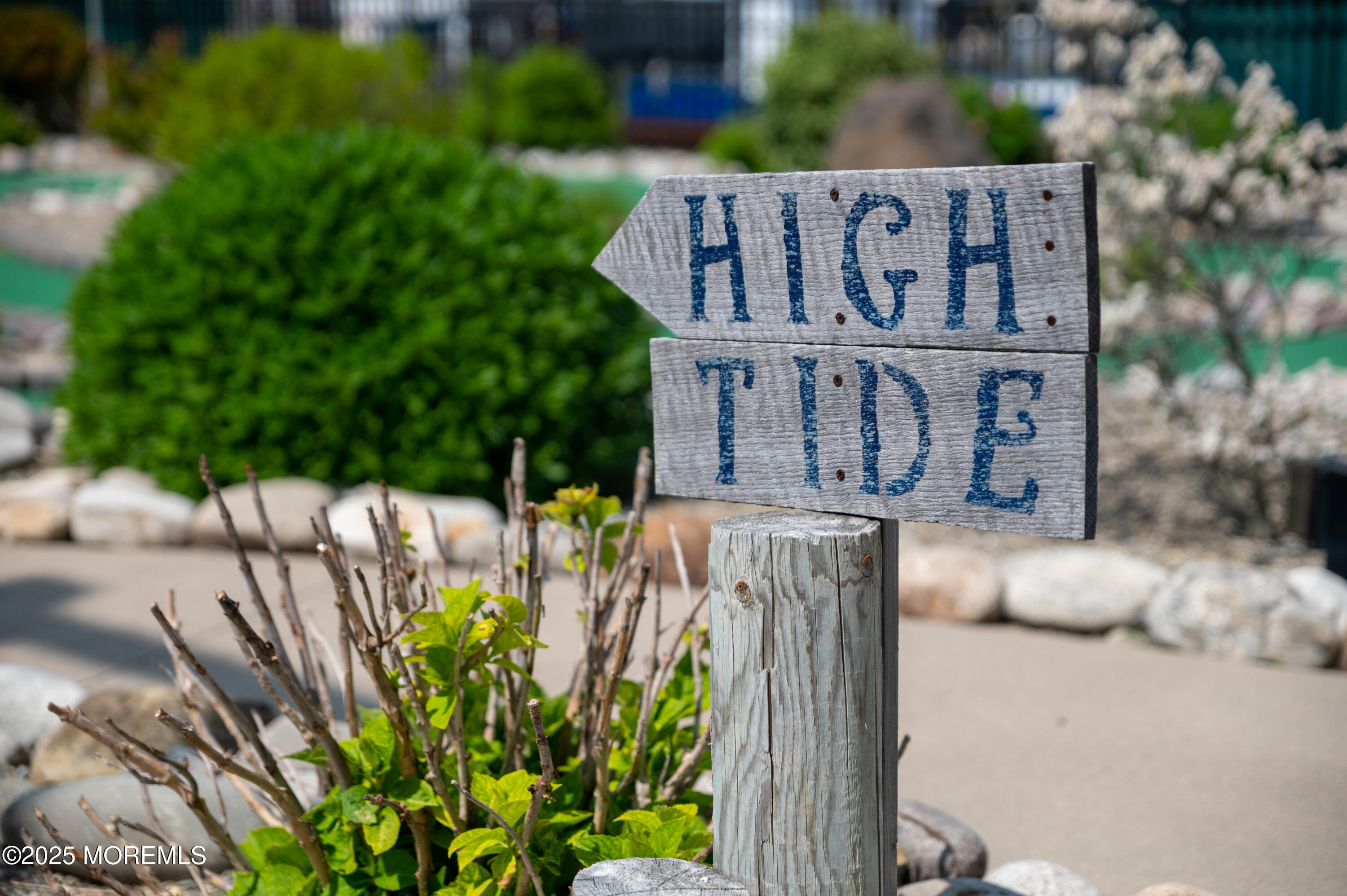 501 Broadway Barnegat Light, NJ 08006 - Photo 9 of 51 Jens_links (23 of 110)
